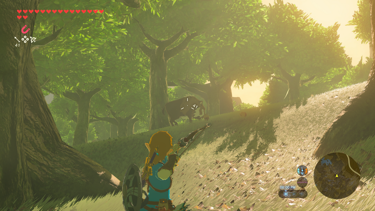 The Legend of Zelda™: Breath of the Wild - Attenza Colombia