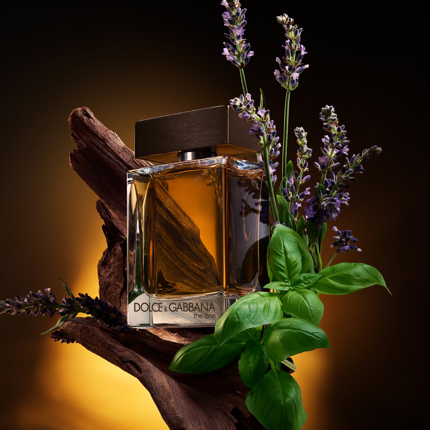 The One For Men Eau de Toilette