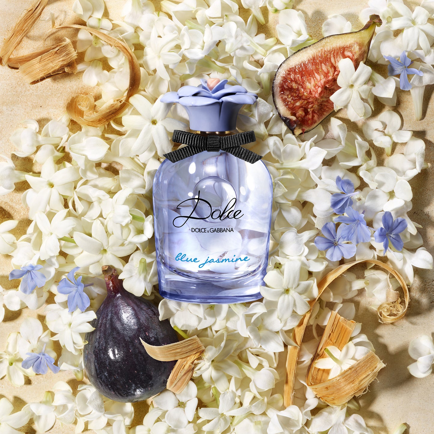 Dolce Blue Jasmine Eau de Parfum